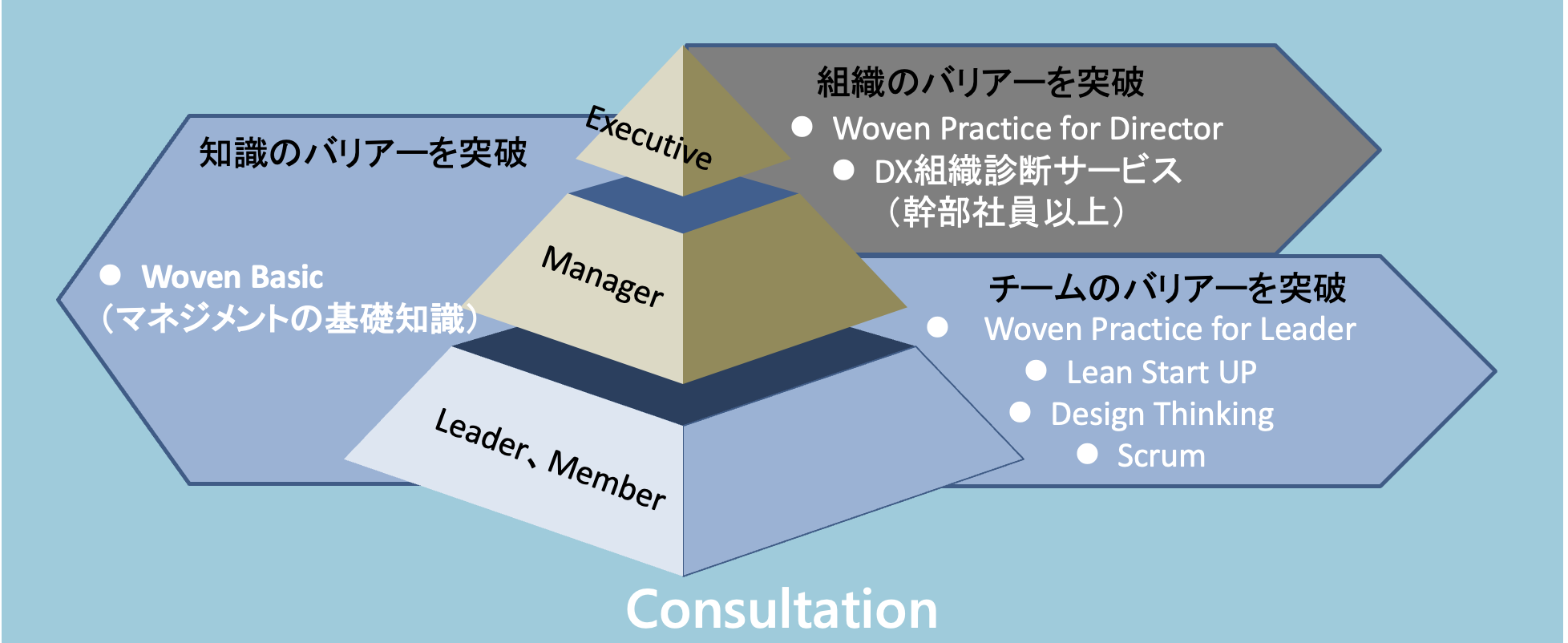 法人パッケージ】ボース•ウィン•マネジメント•プログラム （アイズナー  